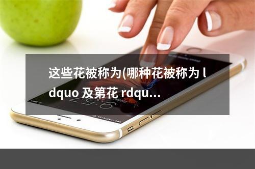 这些花被称为(哪种花被称为 ldquo 及第花 rdquo  蚂蚁庄园9月14日答案最新)