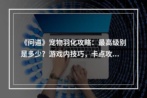 《问道》宠物羽化攻略：最高级别是多少？游戏内技巧，卡点攻略