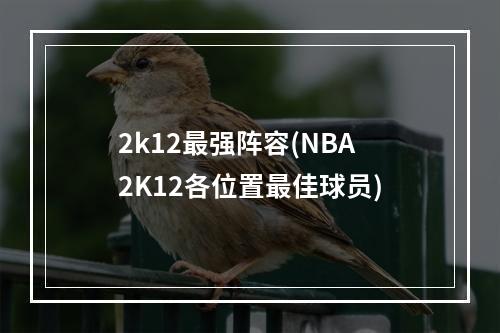 2k12最强阵容(NBA2K12各位置最佳球员)