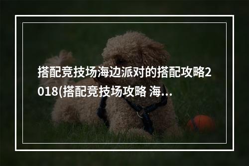 搭配竞技场海边派对的搭配攻略2018(搭配竞技场攻略 海滨派对)