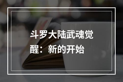 斗罗大陆武魂觉醒：新的开始