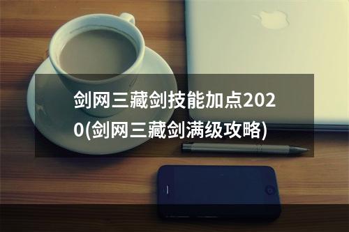 剑网三藏剑技能加点2020(剑网三藏剑满级攻略)