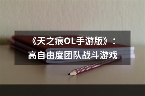 《天之痕OL手游版》：高自由度团队战斗游戏