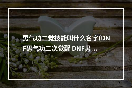 男气功二觉技能叫什么名字(DNF男气功二次觉醒 DNF男气功二次觉醒刷图加点技能)