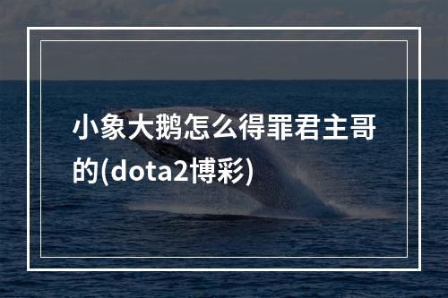 小象大鹅怎么得罪君主哥的(dota2博彩)