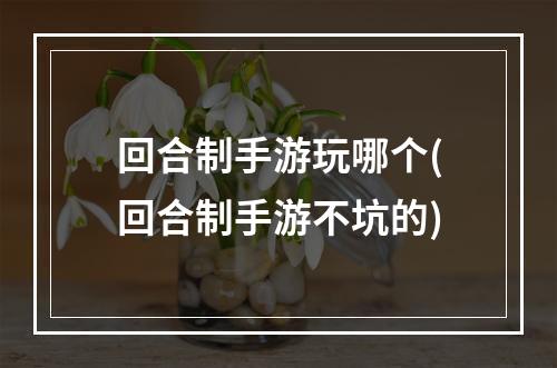 回合制手游玩哪个(回合制手游不坑的)