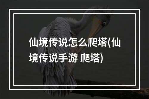 仙境传说怎么爬塔(仙境传说手游 爬塔)