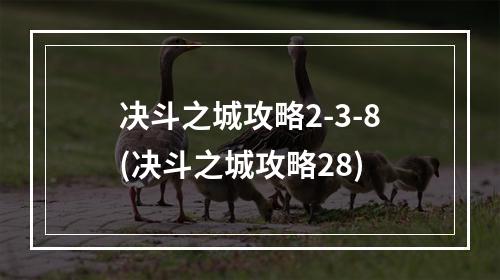 决斗之城攻略2-3-8(决斗之城攻略28)