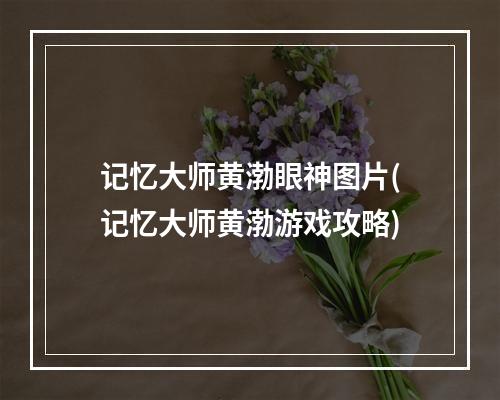 记忆大师黄渤眼神图片(记忆大师黄渤游戏攻略)