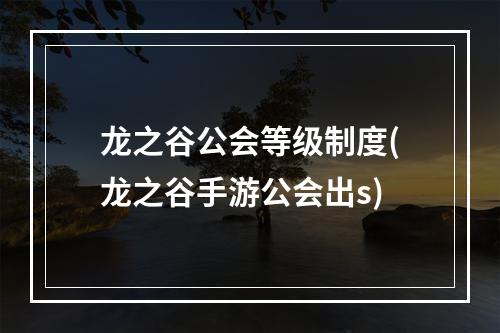 龙之谷公会等级制度(龙之谷手游公会出s)