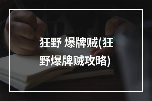 狂野 爆牌贼(狂野爆牌贼攻略)