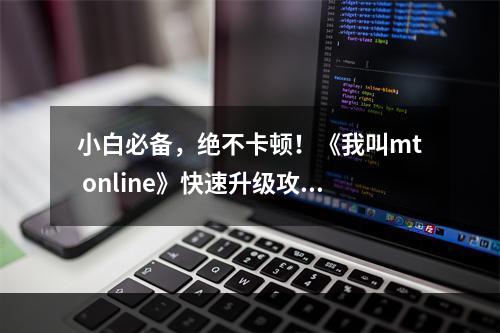 小白必备，绝不卡顿！《我叫mt online》快速升级攻略从入门到精通！（黑科技分享）