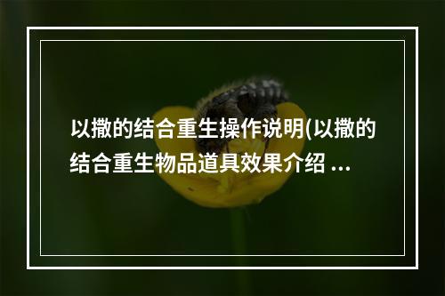 以撒的结合重生操作说明(以撒的结合重生物品道具效果介绍 以撒的结合重生全)