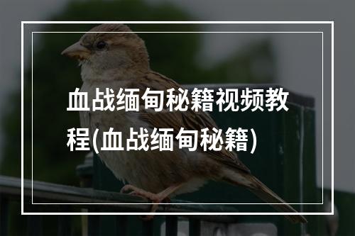 血战缅甸秘籍视频教程(血战缅甸秘籍)