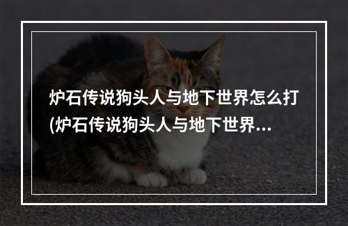 炉石传说狗头人与地下世界怎么打(炉石传说狗头人与地下世界冒险攻略)