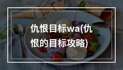 仇恨目标wa(仇恨的目标攻略)