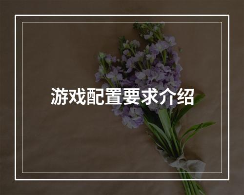 游戏配置要求介绍