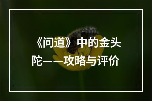 《问道》中的金头陀——攻略与评价