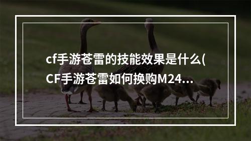 cf手游苍雷的技能效果是什么(CF手游苍雷如何换购M240B苍雷换购方法介绍)