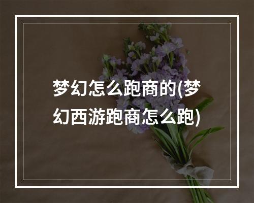 梦幻怎么跑商的(梦幻西游跑商怎么跑)