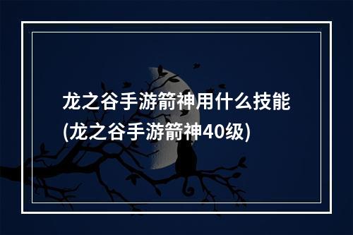 龙之谷手游箭神用什么技能(龙之谷手游箭神40级)