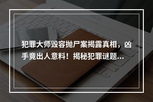 犯罪大师毁容抛尸案揭露真相，凶手竟出人意料！揭秘犯罪谜题(意料之外)