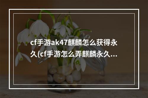 cf手游ak47麒麟怎么获得永久(cf手游怎么弄麒麟永久)