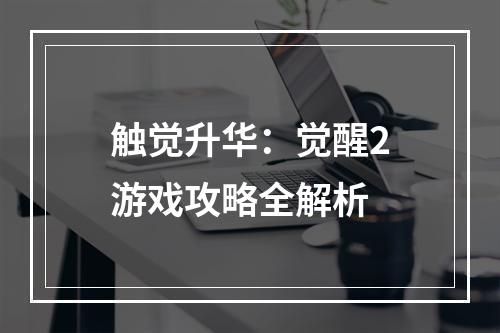 触觉升华：觉醒2游戏攻略全解析