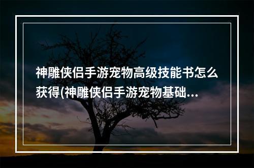 神雕侠侣手游宠物高级技能书怎么获得(神雕侠侣手游宠物基础属性图鉴)