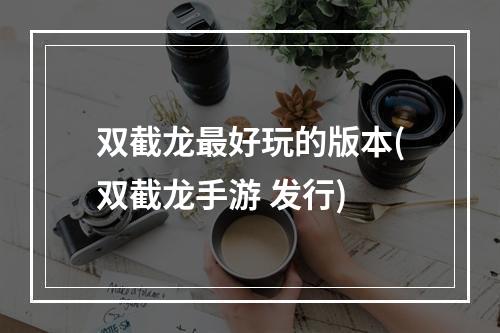 双截龙最好玩的版本(双截龙手游 发行)