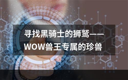 寻找黑骑士的狮鹫——WOW兽王专属的珍兽