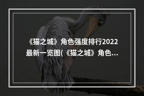 《猫之城》角色强度排行2022最新一览图(《猫之城》角色强度排行2022最新一览 )