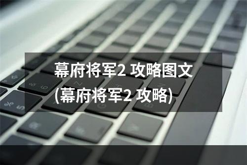 幕府将军2 攻略图文(幕府将军2 攻略)