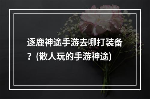 逐鹿神途手游去哪打装备？(散人玩的手游神途)