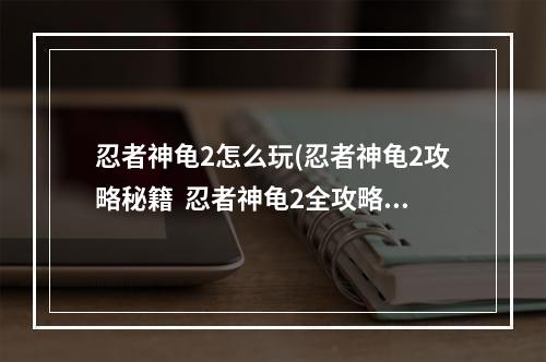 忍者神龟2怎么玩(忍者神龟2攻略秘籍  忍者神龟2全攻略  忍者神龟2攻略)