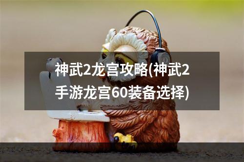 神武2龙宫攻略(神武2手游龙宫60装备选择)