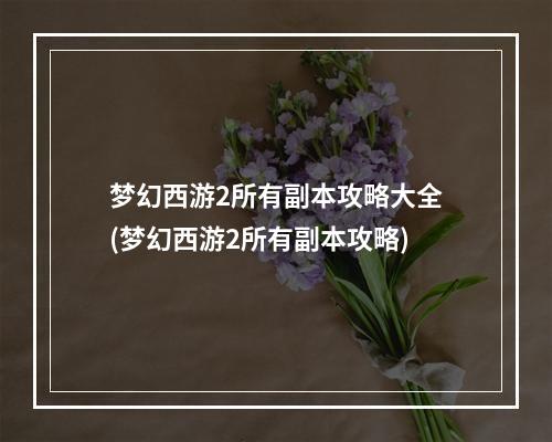 梦幻西游2所有副本攻略大全(梦幻西游2所有副本攻略)