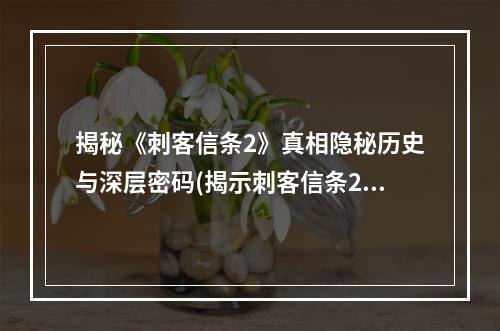 揭秘《刺客信条2》真相隐秘历史与深层密码(揭示刺客信条2的深层故事及密码)