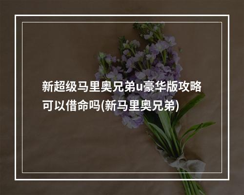 新超级马里奥兄弟u豪华版攻略可以借命吗(新马里奥兄弟)