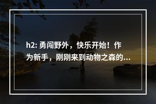 h2: 勇闯野外，快乐开始！作为新手，刚刚来到动物之森的你，首先需要办理居民证，这是你进入动物之森的必要手续。在你得到居民证之后，走出屋子，看到一个小村庄，这里