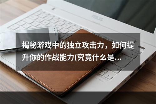 揭秘游戏中的独立攻击力，如何提升你的作战能力(究竟什么是独立攻击力？)(攻略大揭秘独立攻击力为何在游戏中如此重要(初入游戏界的你必看))