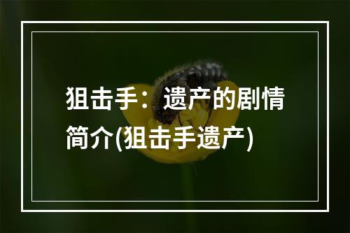 狙击手：遗产的剧情简介(狙击手遗产)