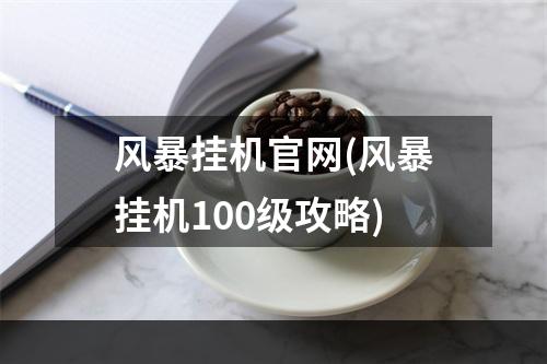 风暴挂机官网(风暴挂机100级攻略)