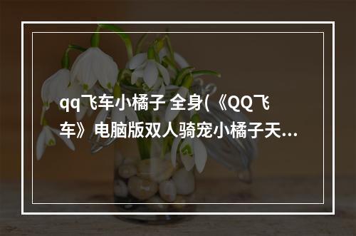 qq飞车小橘子 全身(《QQ飞车》电脑版双人骑宠小橘子天使强化 10图文介绍)