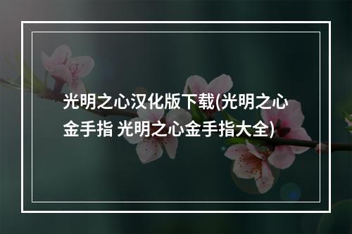 光明之心汉化版下载(光明之心金手指 光明之心金手指大全)