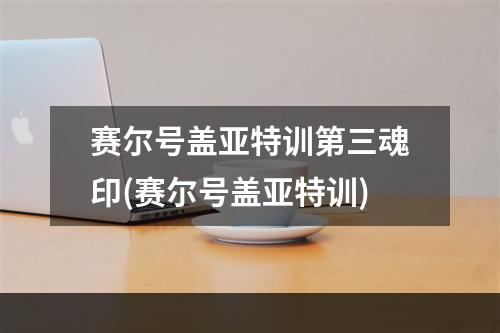 赛尔号盖亚特训第三魂印(赛尔号盖亚特训)