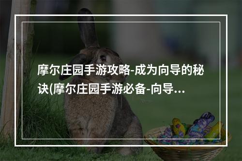 摩尔庄园手游攻略-成为向导的秘诀(摩尔庄园手游必备-向导技能大全)