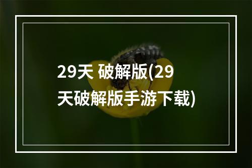 29天 破解版(29天破解版手游下载)