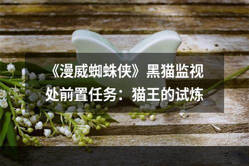 《漫威蜘蛛侠》黑猫监视处前置任务：猫王的试炼