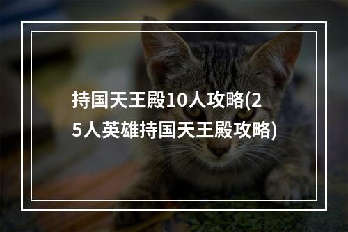 持国天王殿10人攻略(25人英雄持国天王殿攻略)